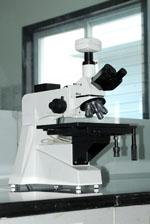 micro-analysis