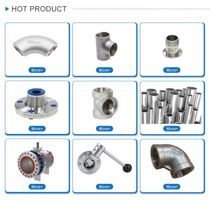 316lL SAE Flange Counter Weld Flange ISO 6161 ISO 6162 Stainless Steel Hydraulic Flange Square 5