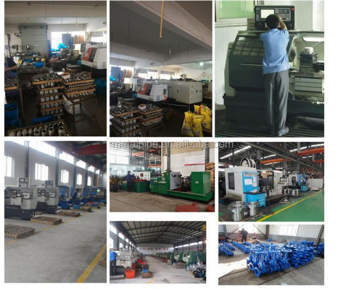 METAL Low Alloy Steel Pipe Fittings Butt Welding Pipe Fittings Equal Tee A403 WP904L 6" SCH40 ASME B16.9 9