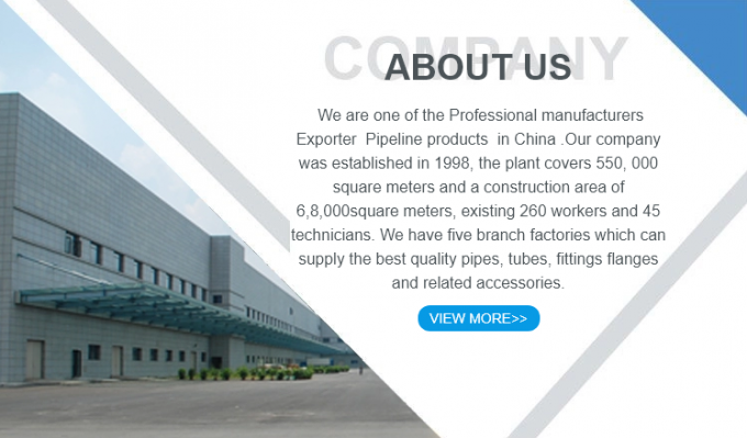 METAL High Quality 304 Stainless Steel Pipe Fitting Solid Square Head Plug 1/2/3/4/6 Points NPT1/2 7