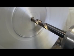 Forged Steel Flanges