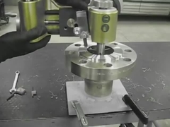 Stainless Steel Flange