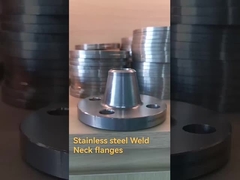 Stainless Steel Flange
