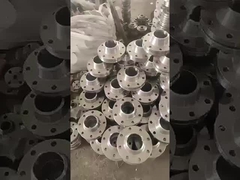 Stainless Steel Flange