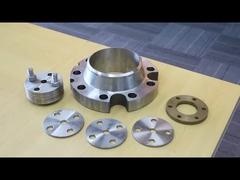 Stainless Steel Flange