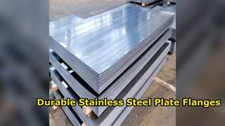 Premium 6L Stainless Steel Plate Flanges ASME B6 