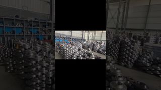 Stainless Steel Flanges Show