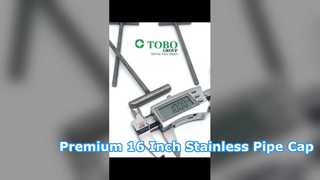 Carbon Steel T-bolt, Custom Forged T Shape Fastener
​