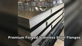 Premium Stainless Steel Forged Flange Plates 304 316L