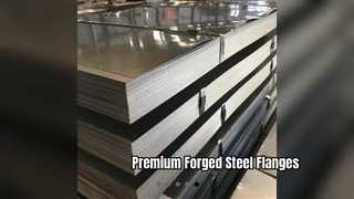 High Quality 316L Stainless Steel Forged Flange Plates