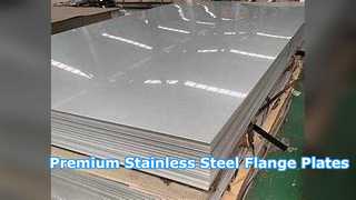 Premium 316L Stainless Steel Forged Flange Plates