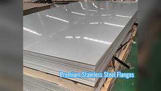Premium Stainless Steel Forged Flanges ANSI DIN Standard