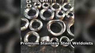 High Quality F316L F11 Stainless Steel Weldolet Fittings