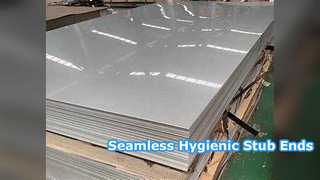 Seamless Stainless Steel Stub Ends for Food Processing