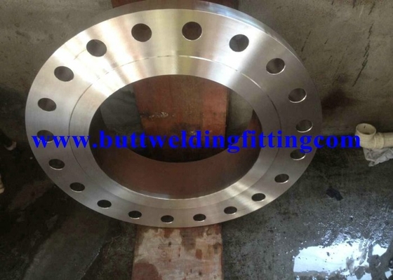 ISO9001 F44 UNS S31254 Forged Steel Flanges A182 Raised Face