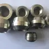 Forged Weldolet ASTM A182 F304L Stainless Steel 304L Boss Forged Fittings