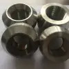 Forged Weldolet ASTM A182 F304L Stainless Steel 304L Boss Forged Fittings