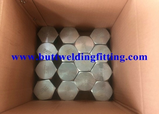 Forged Steel Pipe Fittings 2” Hexagonal Nipple 3000 PSI NPT Galvanized A105