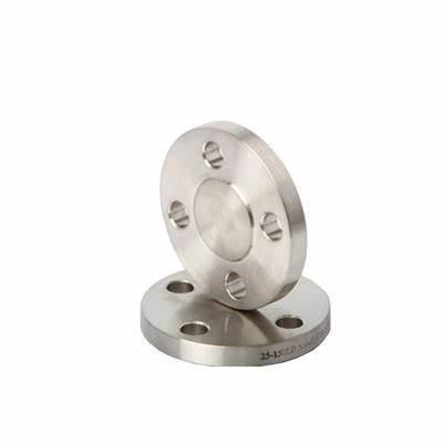 Stainless Steel Flange A182 Grade F 304  Blind Forged Flanges Pipe Fittings CL3000