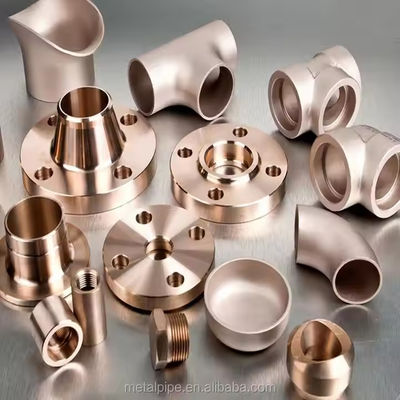 Forged Steel Flanges ASTM A182 F304 F304L F304H RF SO/WN FL For Industrial Connection