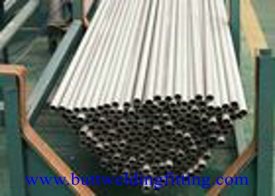 Boiler / Structural Seamless Stainless Steel Tubing Small Diameter A/SA268 TP446-1