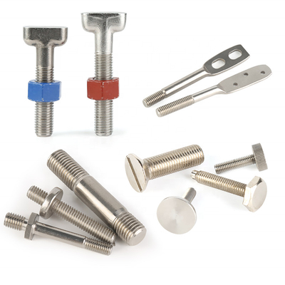 China Manufacturing Fastener Customized Stainless Steel Special Bolt And Screw