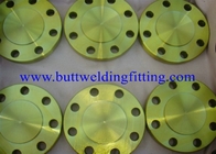 Stainless Steel SS304 SS316 BS4504 Blind Flat Welding Flange For Piping Systems