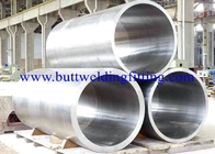 UNS S31254 Stainless Steel Seamless Pipe Hot Rolled SS Oil Tube