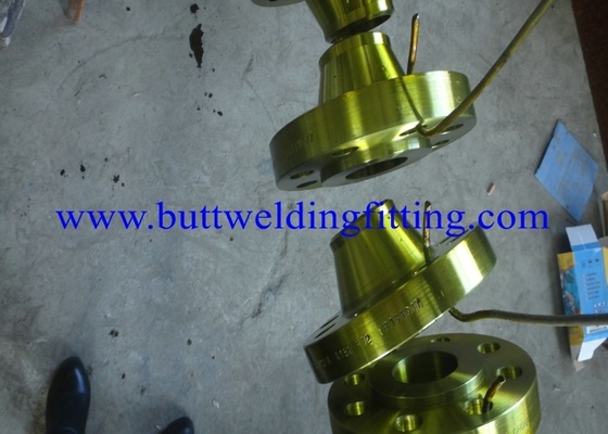 ANSI A182 F316 Weld Neck Forged Steel Flanges A403 WP304 A403 WP304L