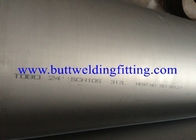 15 - 300 mm SMLS , ASME B36.19 Duplex Stainless Steel Pipe 18 " ASTM A790 / UNS S32205