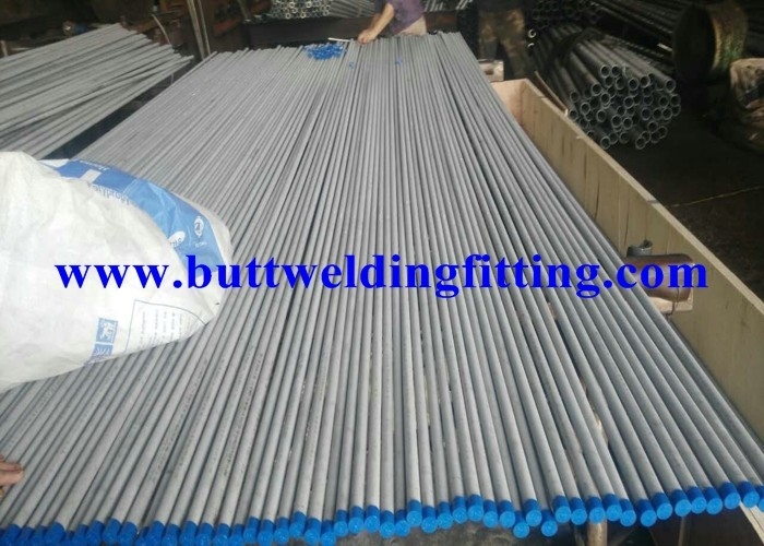 Thin Wall Stainless Steel Seamless Pipe ,  ASTM A213 TP304 Seamless Stainless Steel Tubing