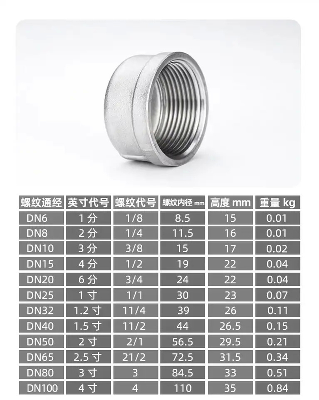 female BSP malleable cast iron stainless steel pipe fitting ss 304 316L round pipe cap bsp npt bspt