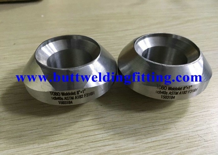 ASTM A182 F316H Weldolet SCH 40S Stainless Steel Forged Fittings 8