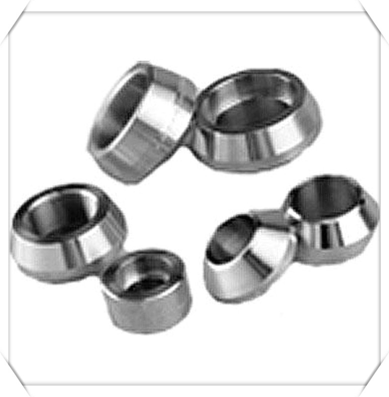 316 Forged Butt Weld Fittings Stainless Steel Socket Weld Plug Pipe Fitting