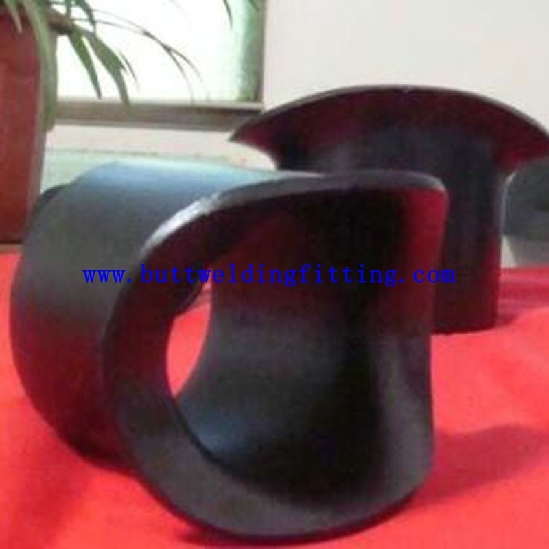 Forged Stainless Steel Seamless Butt Weld Fittings O-LET Sweepolet Saddle