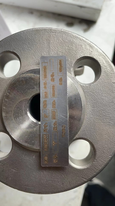 BL Flanges Stainless Steel A182 F316L 300# 1'' Blind Flanges