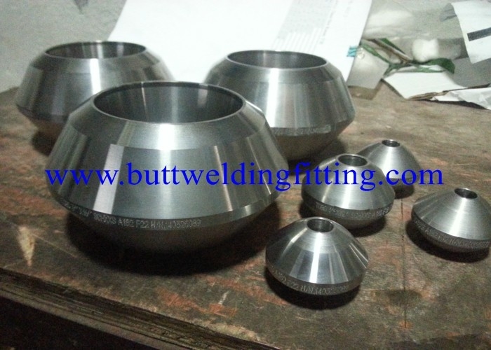 Stainless Steel Weldolet 6