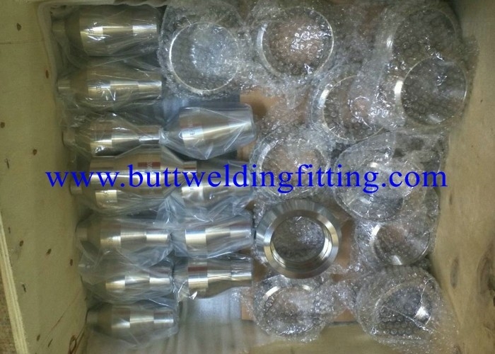 Hastelloy B NS321 Butt Welding Fittings Weldolet Sockolet Threadolet 304 304L 316 316L