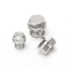 Stainless Steel Pipe Fittings NPT BSPT Male Threaded Hex Head Pipe Plug