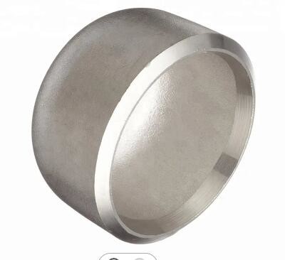 Stainless Steel Butt Welding Pipe Fittings SS316L Pipe Fittings Seamless Weld Tube Cap End Cap Dn200 Dn150 6