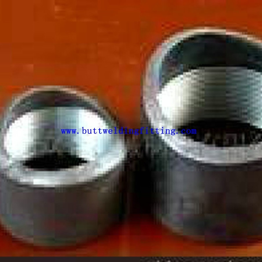 Stainless Steel Butt Welded Pipe Fittings Socket Weld 3000Lb Weldolet