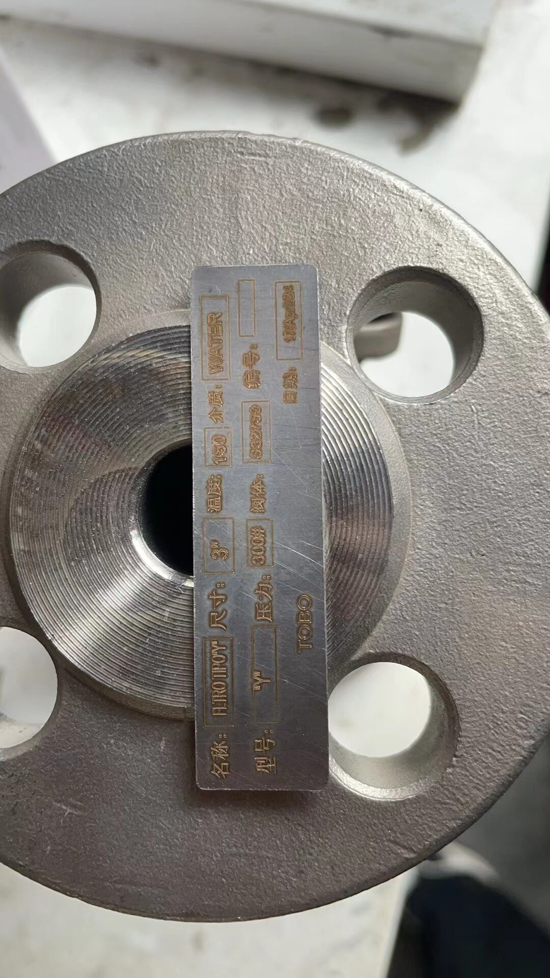 BL Flanges Stainless Steel A182 F316L 300# 1'' Blind Flanges