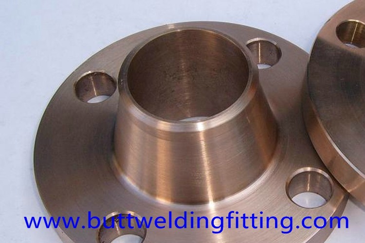 1-1/4'' Copper Nickel 90/10 Forged Steel Welding Neck Flange RF STD 150LB