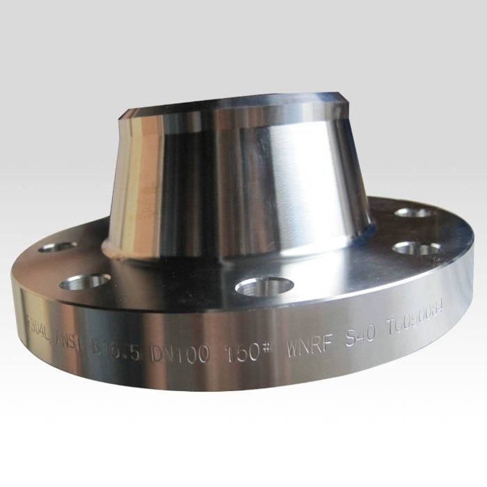 ASME B16.5 Grade F304L Forged Steel Joint RF Welding Neck Flanges