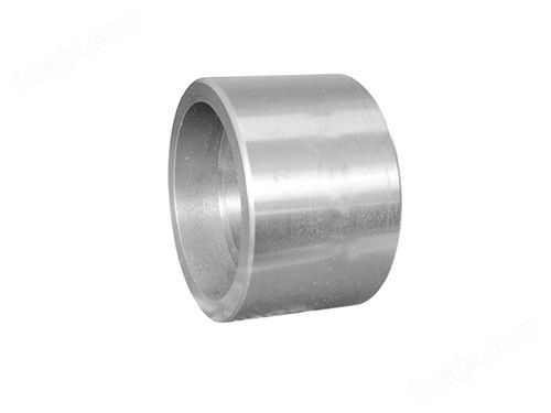 Sfenry 3000LB / 6000LB NPT Socket Weld Stainless Steel Pipe Fittings Forged Coupling